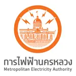 metropolitan electricity